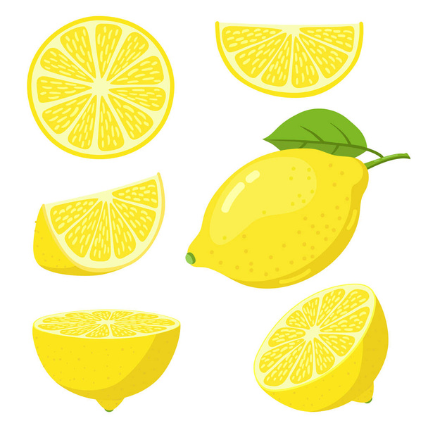 Fette di limone. Fetta di agrumi, succosi limoni gialli, limoni freschi affettati, set di illustrazioni vettoriali di agrumi maturi vegetariani di vitamina c - Vettoriali, immagini
