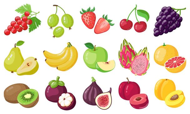 Karikaturenfrüchte. Tropische Früchte, Bananen, Feigen, Äpfel und Drachenfrüchte, Zitrusfrüchte und Beeren, vegetarische exotische Früchte Vektor Illustration Icons Set - Vektor, Bild