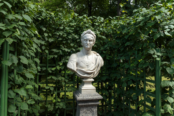 Yaz Bahçesi Heykeli "Roma İmparatoru Nero". - Anlaşıldı. St. Petersburg, Rusya 'daki eski halk parkı "Yaz Bahçesi" - Fotoğraf, Görsel