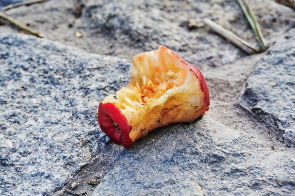Widok ugryzionego jabłka leżącego na bruku ulicy. - Zdjęcie, obraz