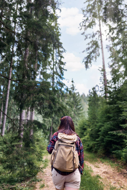 Back view young woman walks with backpacker in the forest. Travel and summer vacations outdoor lifestyle concept  - Valokuva, kuva