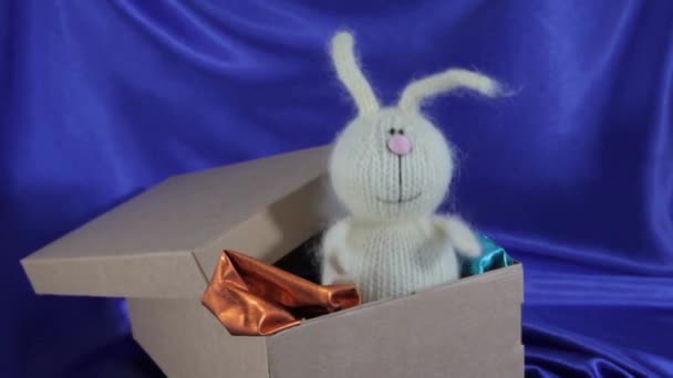 Spettacolo di burattini, coniglietto a maglia che salta in una scatola di cartone, sorpresa. - Filmati, video