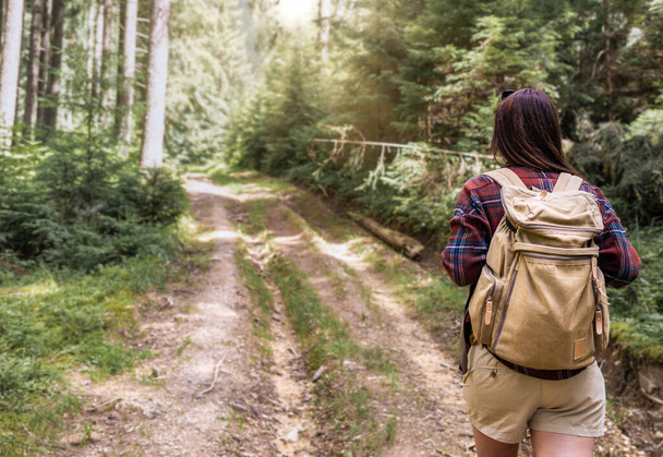 Back view young woman walks with backpacker in the forest. Travel and summer vacations outdoor lifestyle concept - Photo, image
