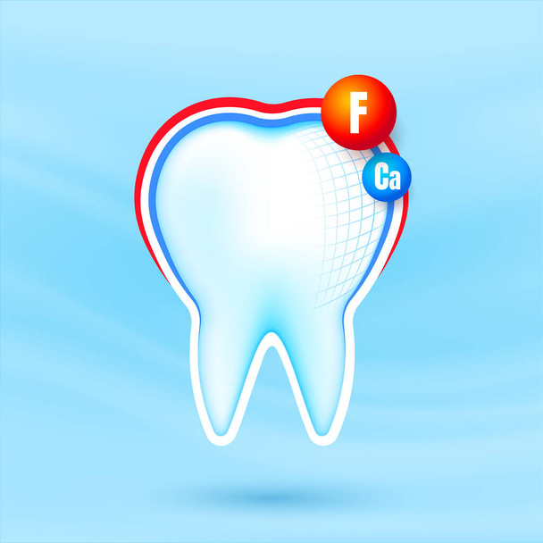 Healthy strong tooth with calcium and fluor sheild. White teeth being protected. Dental care. - Vector, Image