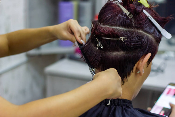 перукарня жінка стрижка, перукар на роботі, перукарня ріже волосся
 - Фото, зображення