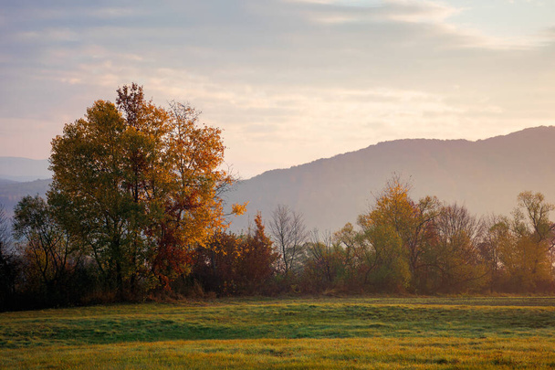 matin brumeux de campagne montagneuse. paysage rural aux couleurs automnales. arbres sur les champs dans les couleurs d'automne. montagnes lointaines sous un ciel avec des nuages dans la lumière du matin - Photo, image
