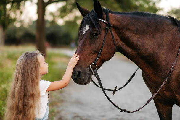 Lapsen ystävyys hevosen kanssa. Pieni tyttö hyväilee hellästi hevostaan. Kävelevät tytöt hevosen kanssa puistossa syksyllä. - Valokuva, kuva