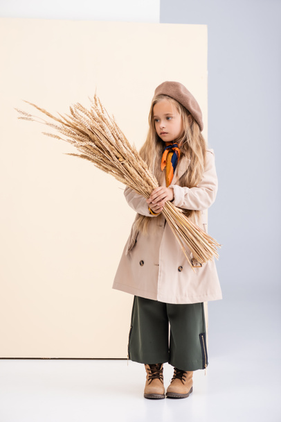 fashionable blonde girl in autumn outfit with wheat spikes on beige and white background - Foto, immagini