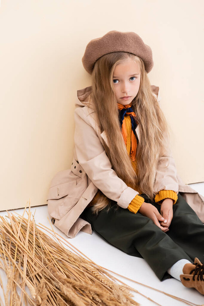 fashionable blonde girl in autumn outfit sitting on floor near wheat spikes on beige and white background - Photo, Image