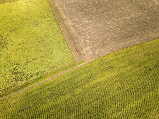 Aerial drone view. Autumn agricultural fields in Ukraine. - Fotografie, Obrázek