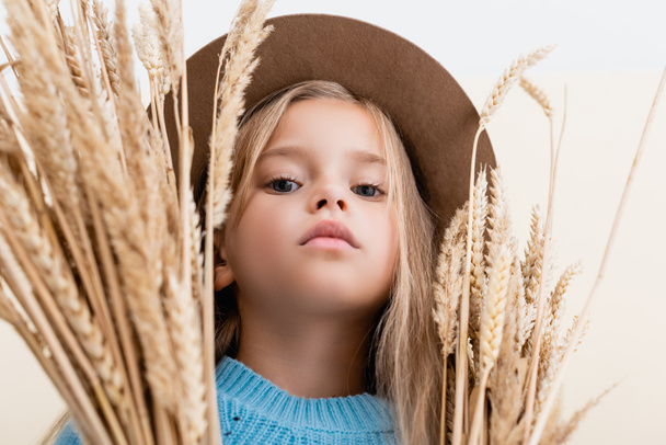 низкий угол зрения на модную блондинку в шляпе и голубой свитер в пшеничных шипах - Фото, изображение