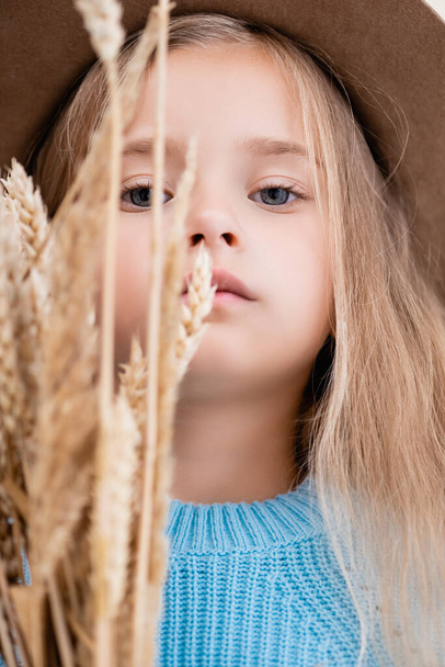 selective focus of fashionable blonde girl in hat and blue sweater in wheat spikes - Zdjęcie, obraz