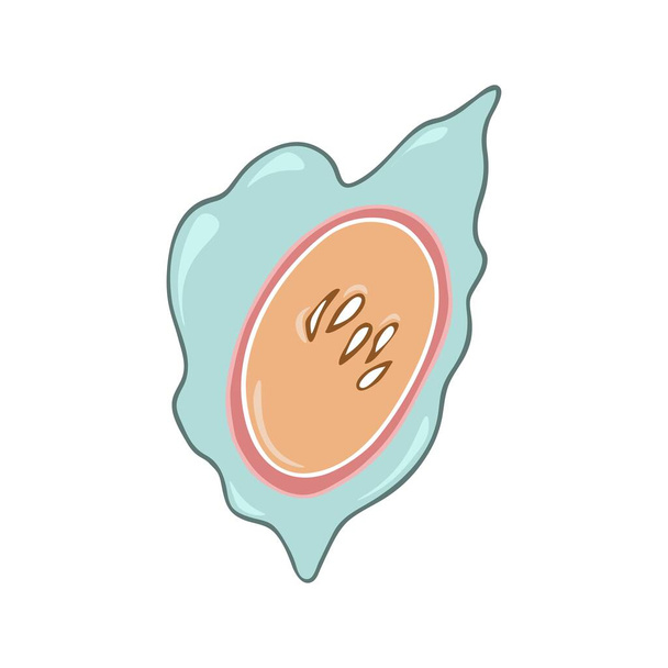 Illustrazione colorata disegnata a mano del vettore dell'uovo dell'elminto della tenia isolata su uno sfondo bianco. Concetto di parassita animale e umano. - Vettoriali, immagini