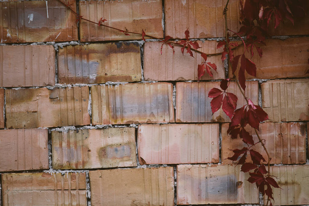 old brick wall with red paint - Zdjęcie, obraz