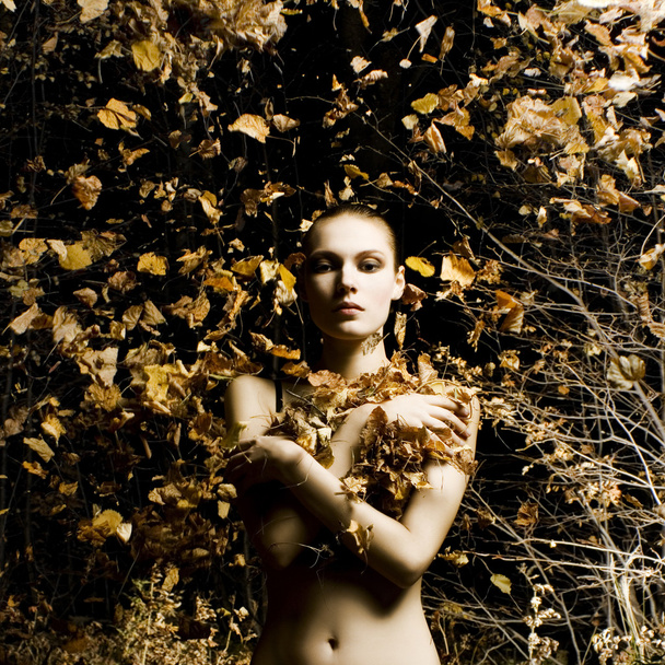Hermosa joven en hojas amarillas
 - Foto, Imagen