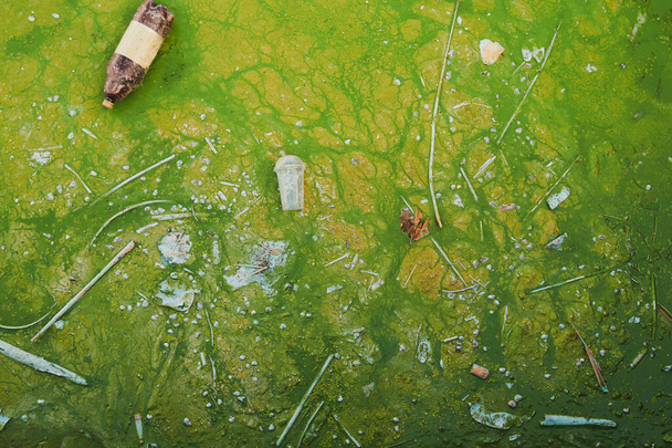 Groene snaaralgen en plastic afval in de vijver. Milieuvervuiling concept foto. Stinkend water. Plastic flessen in het water. - Foto, afbeelding