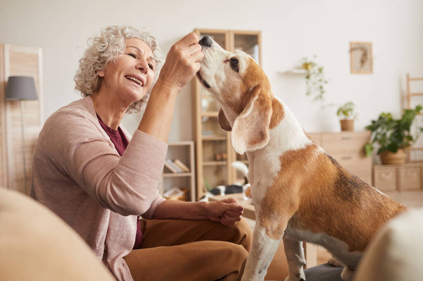 Retrato cálido tonificado de una alegre mujer mayor jugando con el perro y dando golosinas mientras disfrutan del tiempo juntos en casa - Foto, Imagen