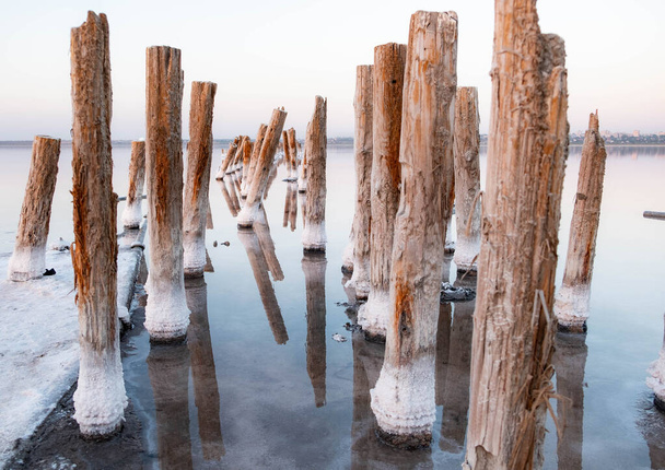 Uniek zoutmeer Kuyalnik in Oekraïne. Houten palen gereflecteerd op het oppervlak met de zoutkristallen.  - Foto, afbeelding