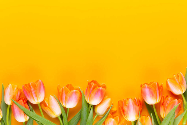 Yellow pastels color flowers on yellow background.Waiting for spring. Happy Easter card. Flat lay, top view. Copy space. - Fotografie, Obrázek