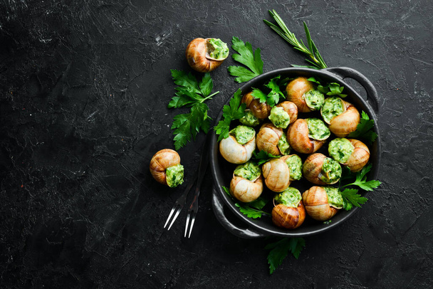 "Escargots de Bourgogne" - baked snails with garlic, butter and basil. French traditional food. Top view. Free space for your text. - Foto, Bild