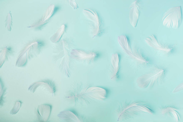 White fluffy bird feathers on pastel blue background - Фото, зображення