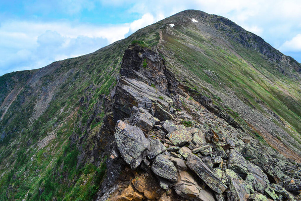 horský kamenitý svah zarostlý mechem, keři a stromy v bajkalských zelených horách - Fotografie, Obrázek
