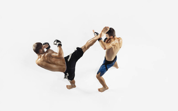 Two professional MMA fighters boxing isolated on white studio background, dynamic and motion. Top view - Фото, зображення