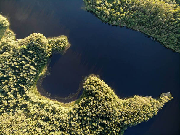Озеро в зеленому літніх лісах з хмарним небом. Вид з повітря Російська Карелія. Захід сонця - Фото, зображення