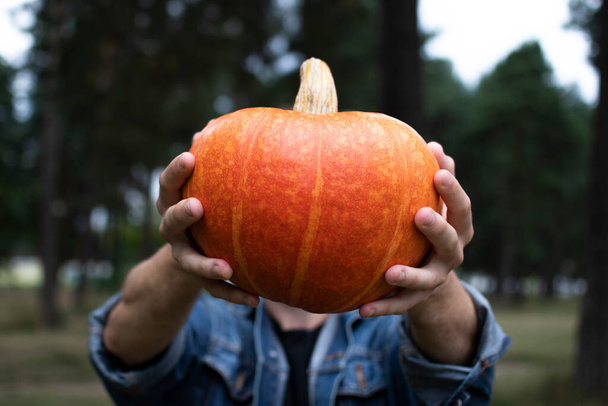 a young man in a denim jacket holds an orange pumpkin in the woods in his bare hands for Halloween - 写真・画像