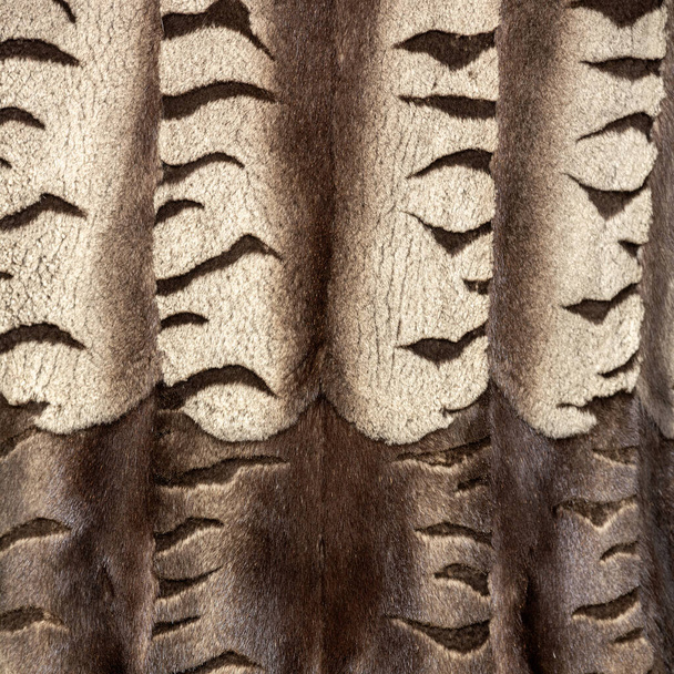 Tekstura futra wisi pionowo w pięknych fałdach w falach z poziomymi brązowymi paskami - Zdjęcie, obraz