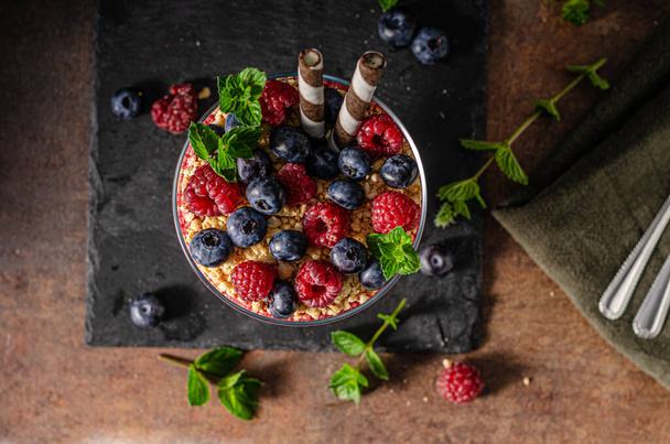 Vanilla panna cotta with berries and crunchy cookies - Valokuva, kuva