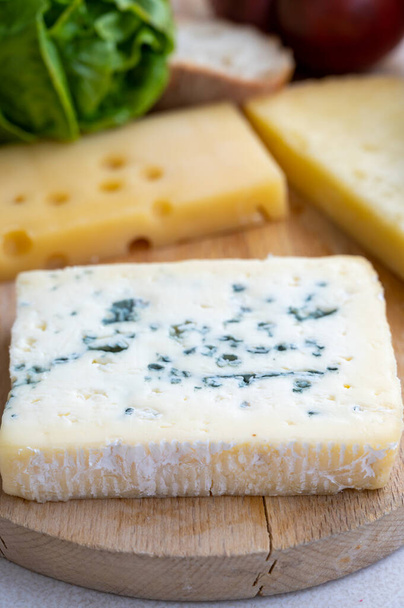 Peynir koleksiyonu, küçük delikli Fransız fol epi peyniri, etorki, tomme noire des pyrenees ve ossau iraty peynirleri - Fotoğraf, Görsel