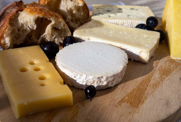 French cheese collection on marble board, emmental, carre de aurillac, petit cantal AOP Jeune, buche chevre and brie - Photo, Image