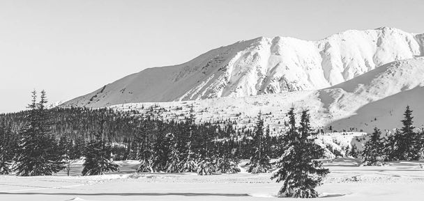 Foto in bianco e nero. Panorama delle montagne polacche dei Tatra - Foto, immagini