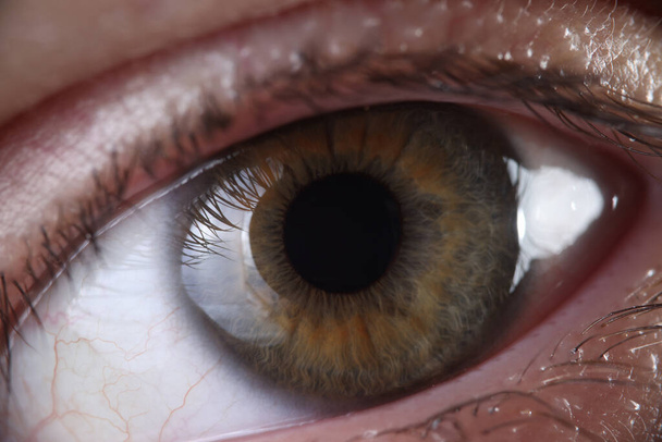 Ανθρώπινο μάτι με βλεφαρίδες κερατοειδούς και κόρη closeup - Φωτογραφία, εικόνα