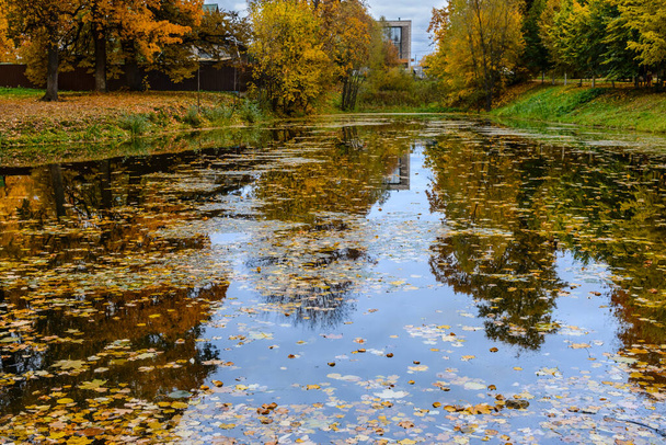 Autumn pond in the park with yellow leaves on it - Foto, afbeelding