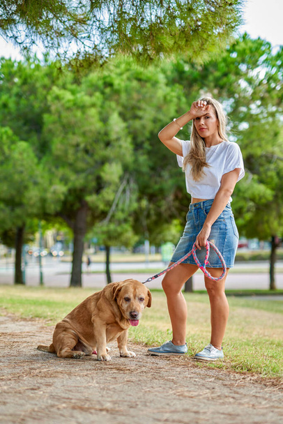 Upset woman training dog at the park - Foto, imagen