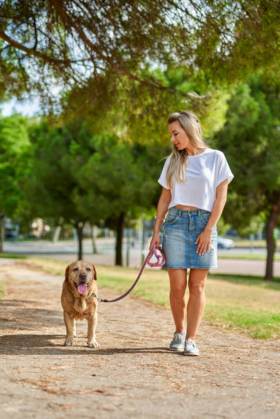 Frau geht mit Hund im Park spazieren. - Foto, Bild