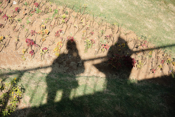 male and female shadows - Foto, afbeelding