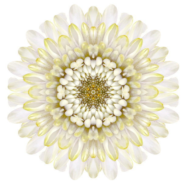 Flor de mandala de crisantemo blanco caleidoscópica aislada en blanco
 - Foto, imagen