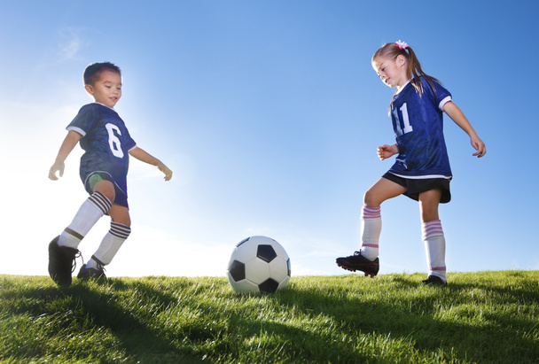Young Soccer Players on a team - Photo, image