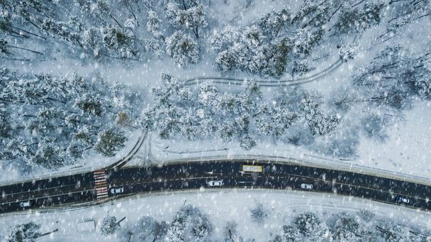 Aerial view of evergreen Christmass pine forest from above. bird's eye, drone shot. amazing natural winter background - 写真・画像