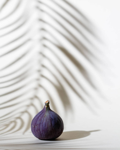 Purple fig fruit with shadows from palm leaves on a light beige background, bright light - Valokuva, kuva