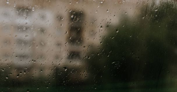 drops of rain water on the glass - Фото, изображение