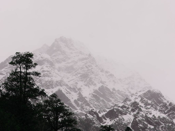 Havas hegyek a Salang völgyben, Himalája hegységben, előtérben fákkal. - Fotó, kép