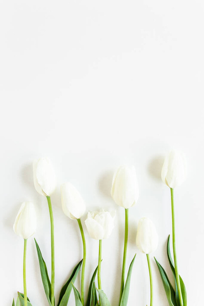 Tulipes blanches sur fond blanc. Concept floral minimal. Couché plat, vue du dessus.  - Photo, image