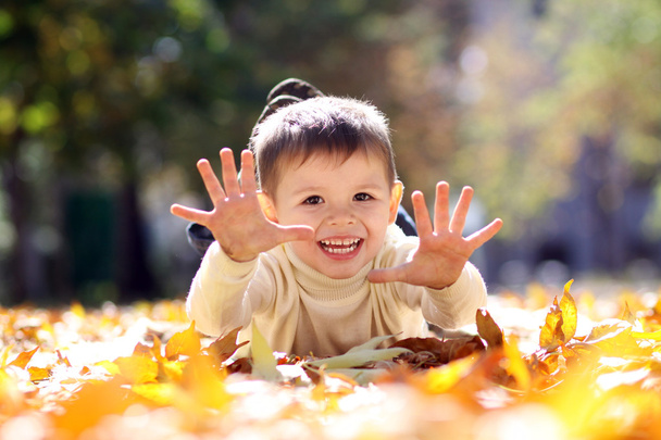 παιδί που βρίσκεται στο golden leaf - Φωτογραφία, εικόνα