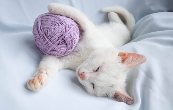 A small white kitten sleeps with a ball of lilac thread. The kitten played and fell asleep. - Фото, изображение