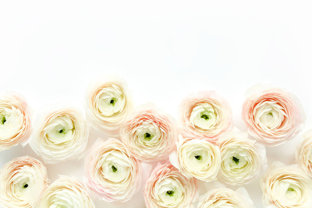 Floral background texture made of pink ranunculus flower buds on white background. Flat lay, top view floral background. - Photo, Image