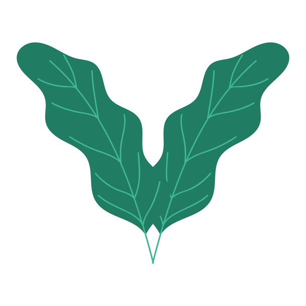 groene bladeren gebladerte natuur botanische geïsoleerde pictogram stijl - Vector, afbeelding